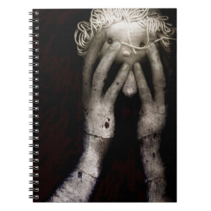 Brain fight 2013 notebook