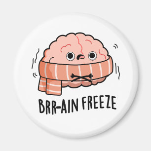 Brain Freeze Funny Biology Anatomy Pun  Magnet