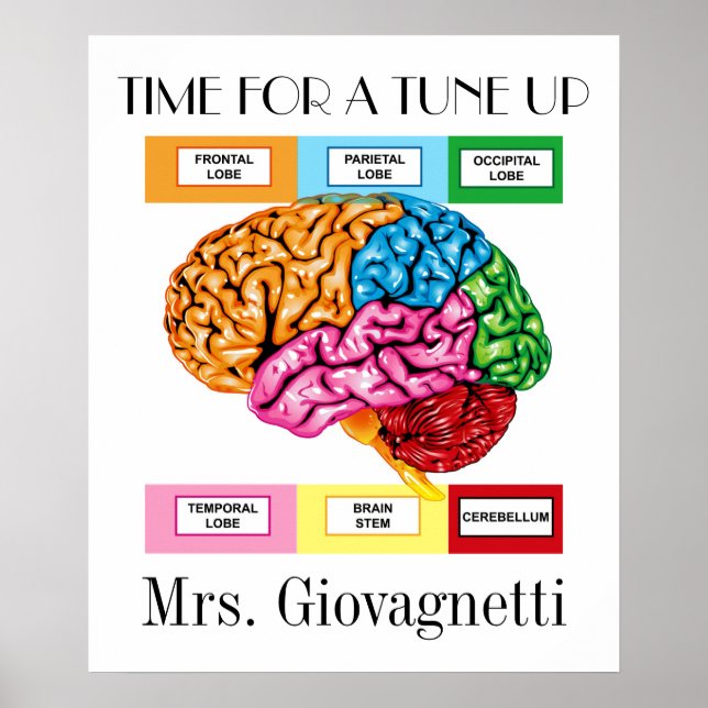 Brain Humour Teacher Poster (Front)