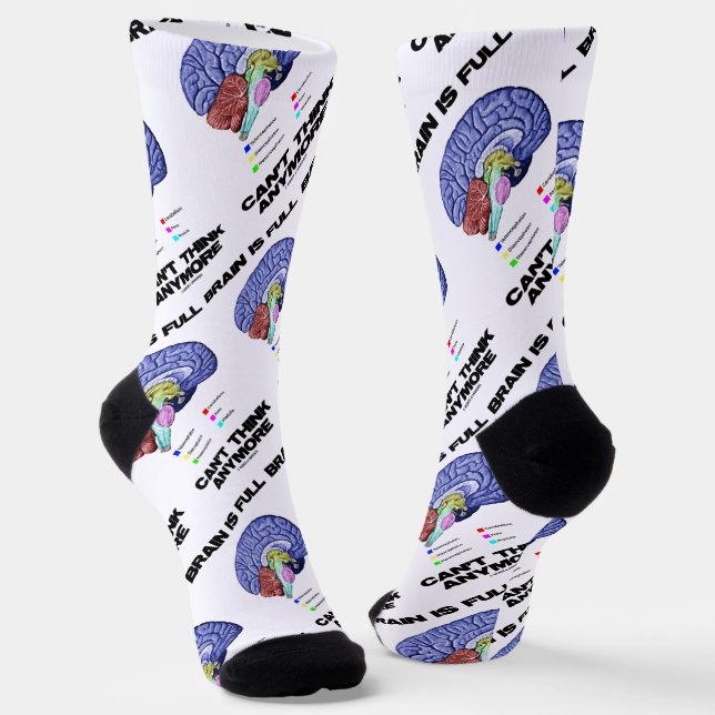 Brain Is Full Can't Think Anymore Brain Anatomy Socks (Angled)