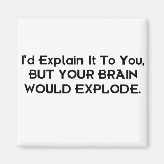 BRAIN MAGNET
