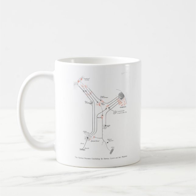 Brain Neuron Synapses Anatomy Mug (Left)