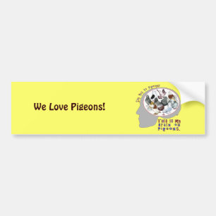 Brain On Pigeons Bumper Sticker