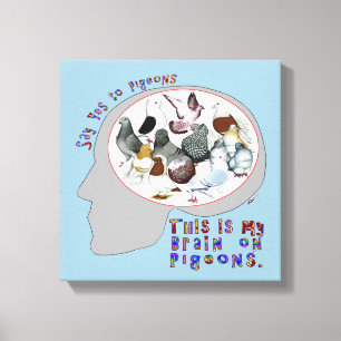 Brain On Pigeons Canvas Print
