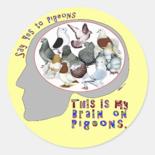 Brain On Pigeons Classic Round Sticker