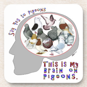 Brain On Pigeons Coaster