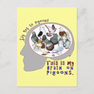 Brain On Pigeons Postcard