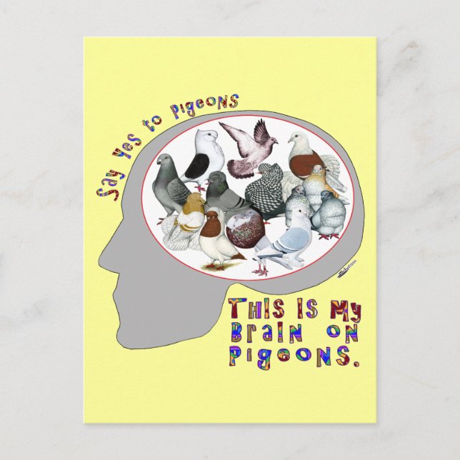 Brain On Pigeons Postcard (Front)
