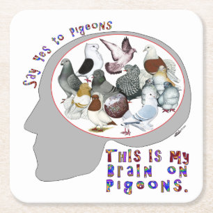Brain On Pigeons Square Paper Coaster