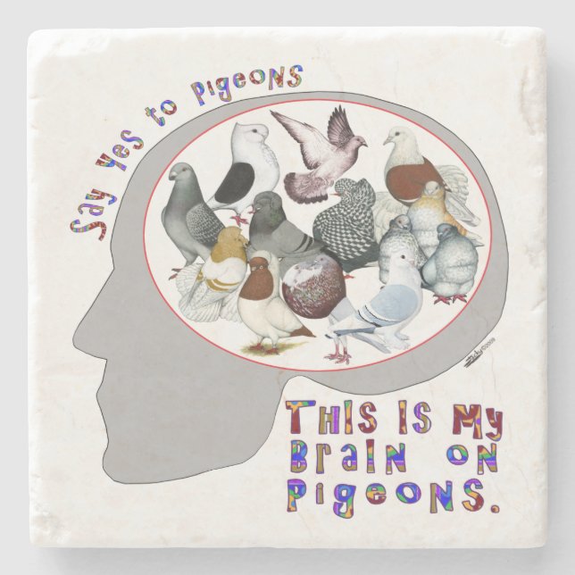 Brain On Pigeons Stone Coaster (Front)