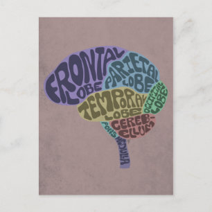 Brain Postcard