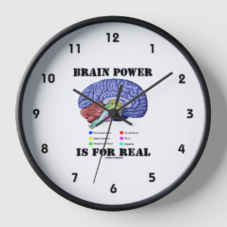 Brain Power Is For Real Brain Anatomy Attitude Clock