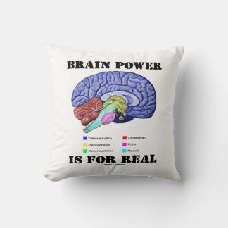 Brain Power Is For Real Brain Anatomy Attitude Cushion
