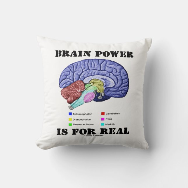 Brain Power Is For Real Brain Anatomy Attitude Cushion (Front)