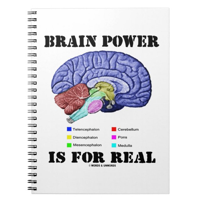 Brain Power Is For Real Brain Anatomy Attitude Notebook (Front)