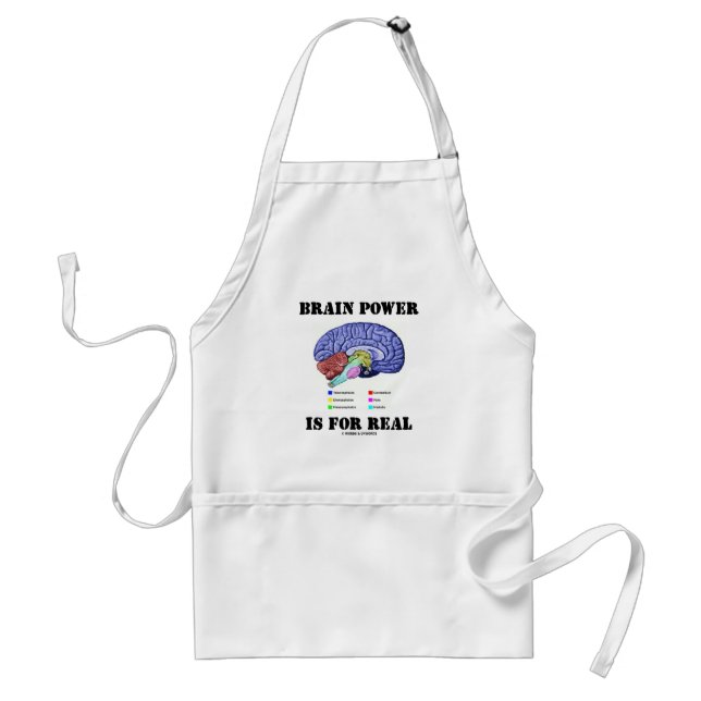 Brain Power Is For Real (Brain Anatomy Attitude) Standard Apron (Front)