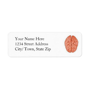 Brain Return Labels