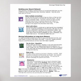 Brainology® Poster 6: Building Your Neural Network