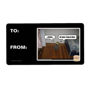 brains
