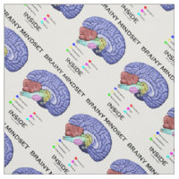 Brainy Mindset Inside Anatomical Brain Humour
