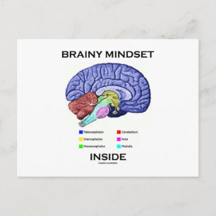 Brainy Mindset Inside (Anatomical Brain) Postcard