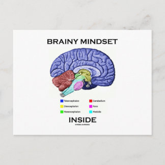 Brainy Mindset Inside (Anatomical Brain) Postcard