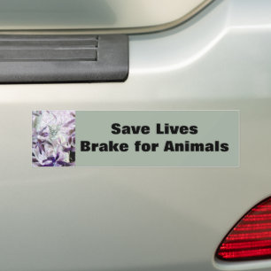 Brake for Animals Purple Cat Bumper Sticker