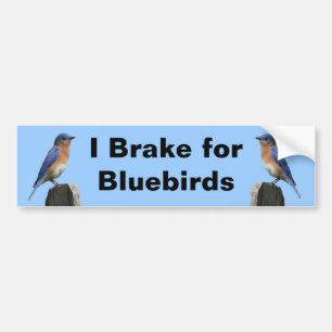 Brake for Bluebirds 2 Bumper Sticker
