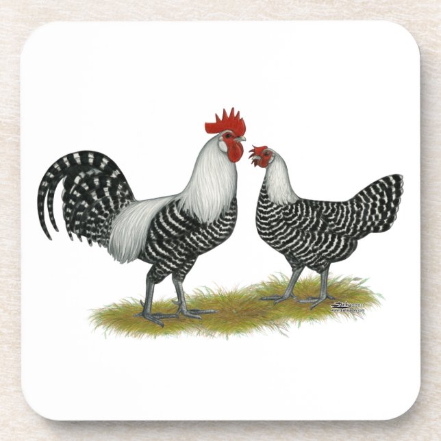 Brakel Chickens Coaster (Front)