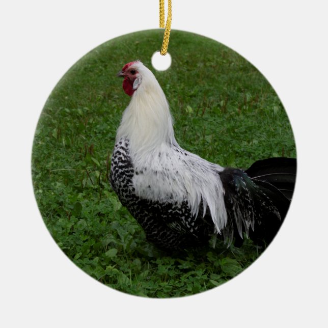 Brakel Hahn Ceramic Tree Decoration (Front)