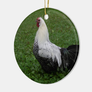 Brakel Hahn Ceramic Tree Decoration