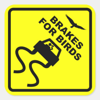 Brakes for Birds Square Sticker