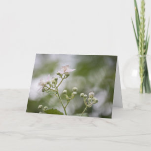 Bramble Berry Close Up Card