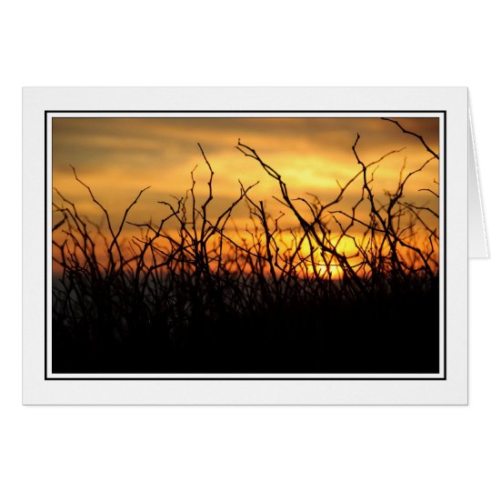 Brambles at Sunset Card