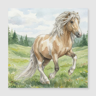 Brana Pinto Palomino Icelandic Watercolor