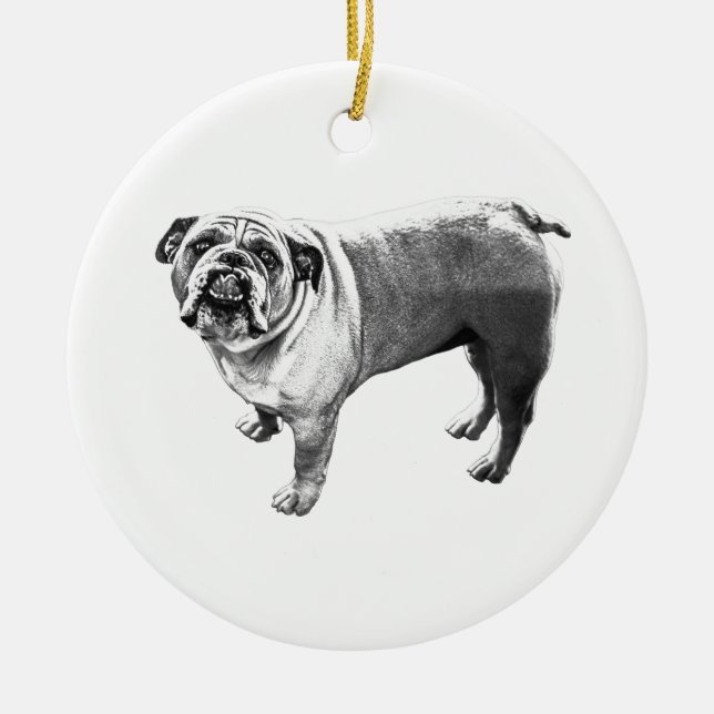 Branch Friend, Gentle Eyes Ceramic Tree Decoration (Front)