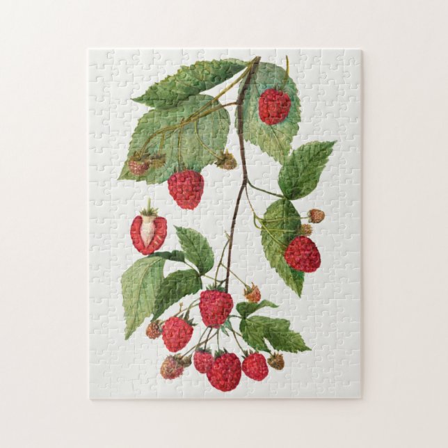 Branch of Blackberry Fruit Watercolor Painting Jigsaw Puzzle (Vertical)