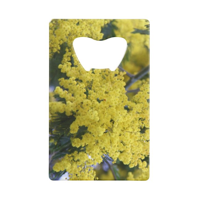 Branch of mimosa (Front)