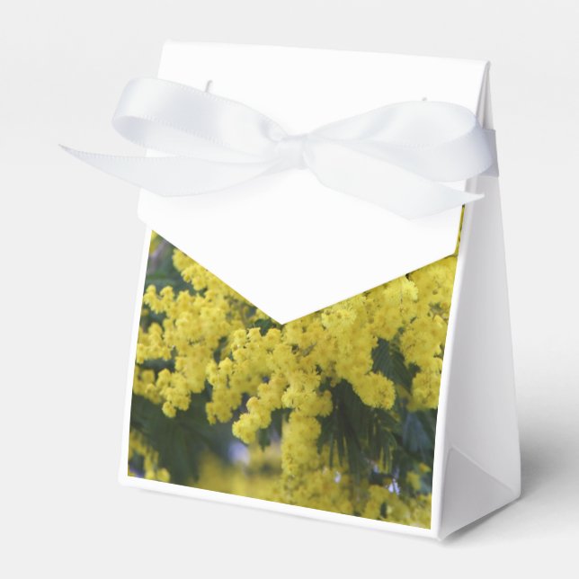 Branch of mimosa favour box (Front Side)