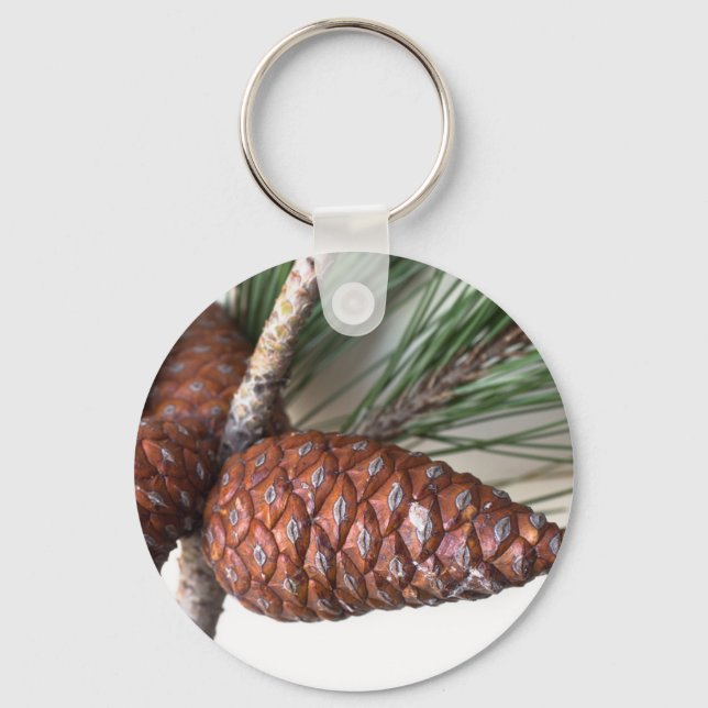 Branch of pine with the pinecone key ring (Front)