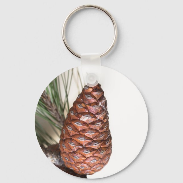 Branch of pine with the pinecone key ring (Front)