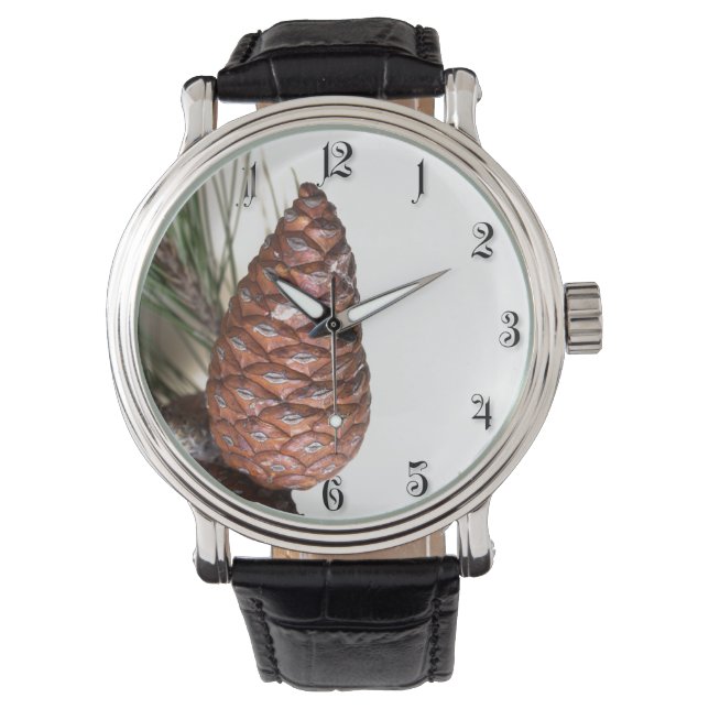 Branch of pine with the pinecones watch (Front)
