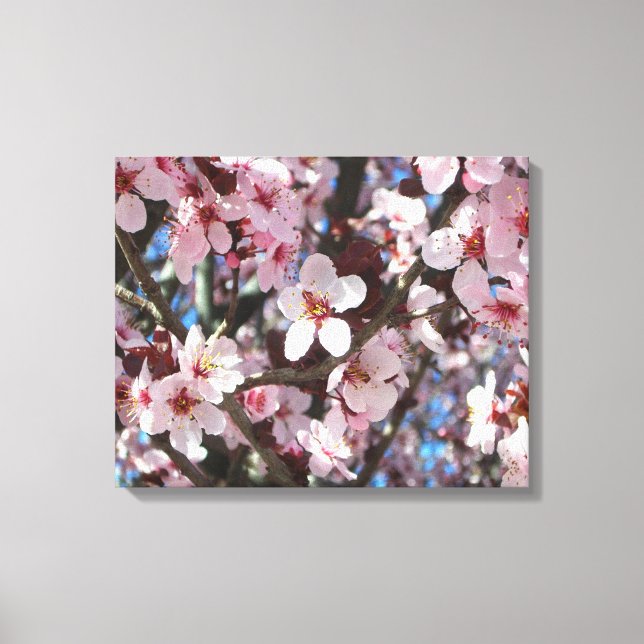 Branch of Pink Blossoms Spring Floral Canvas Print (Front)