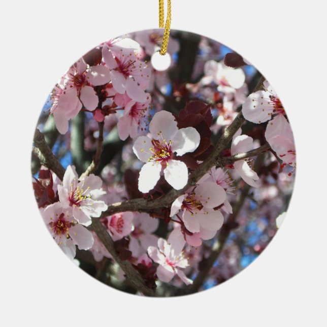 Branch of Pink Blossoms Spring Floral Ceramic Tree Decoration (Front)