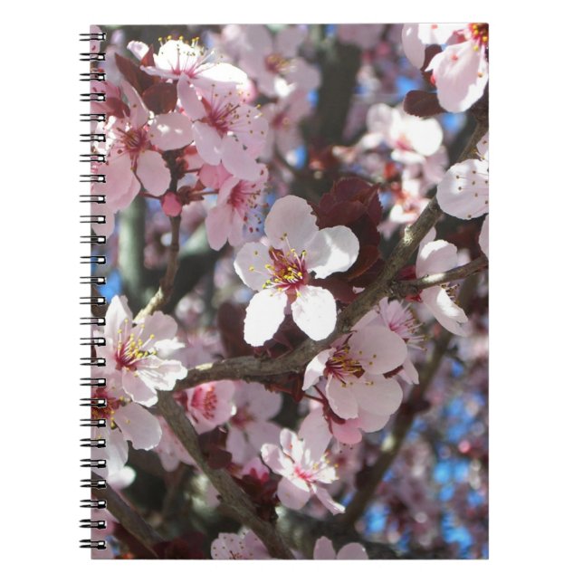 Branch of Pink Blossoms Spring Floral Notebook (Front)