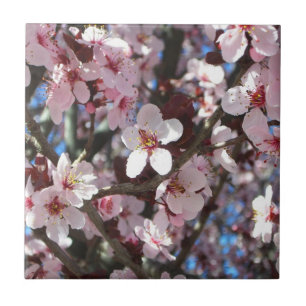 Branch of Pink Blossoms Spring Floral Tile