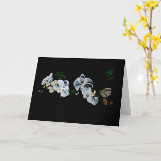 Branch of White Orchids Card
