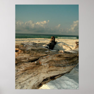 Branch on the Beach Poster