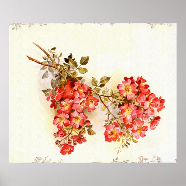 Branch with rose flowers custom poster (Front)