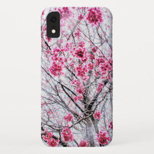 Branches and Blooms of a Cherry Tree iPhone XR Case